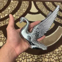 قو درحد|کلکسیون اشیاء عتیقه|گرگان, |دیوار