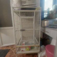 قفس پرنده