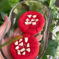 انواع کوکی پذیرایی و کافیشاپی