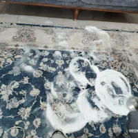 مبل شویی  قالیشویی و انواع صندلی‌|خدمات نظافت|بندرعباس, |دیوار