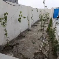 باغ-ویلایی