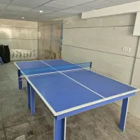 میز پینگ پونگ