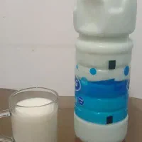 دوغ . محلی گوسفندی .