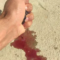انگور سیاه درجه یک.کاملا ارگانیک