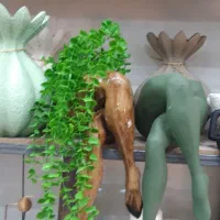 زیبایی منزل|لامپ و چراغ|سرپل ذهاب, |دیوار