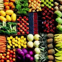 پخش میوه تربار سپاد