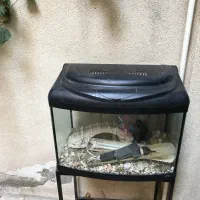 آکواریوم شیشه ای با 90درجه لبه منحنی|ماهی|تهران, ارامنه|دیوار