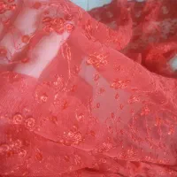 پارچه مجلسی|لباس|بروجرد, |دیوار