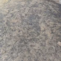 کودگوسفندی|خدمات باغبانی و درختکاری|کرج, شهر صنعتی|دیوار