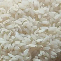 برنج چمپا