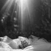 آموزش تخصصی ادیت فیلم ( ودینگ )