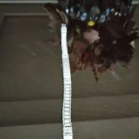 دستبند نقره تایلندی|جواهرات|سنندج, |دیوار