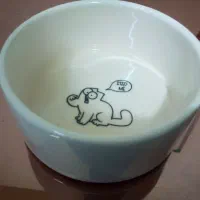 ظرف غذای گربه نو