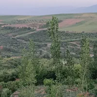 باغ ویلا 700متری سویت اجاره گلدشت ‌‌کنار رود خانه