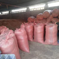 کاه گندم فروشی