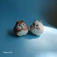 جاعودی سرامیکی|ظروف سرو و پذیرایی|دهاقان, |دیوار