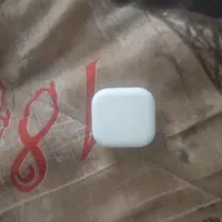 کلگی و سه شاخ تایمر دار