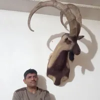 کیف مدارک گمشده