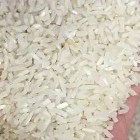 برنج فجر سوزنی درجه یک|خوردنی و آشامیدنی|گرگان, |دیوار