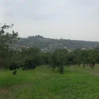 زمین باغی با ویو عالی|فروش دفتر صنعتی، کشاورزی، تجاری|قائمشهر, |دیوار