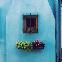 هم-خانه-هم-خونه-خانوم