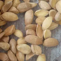 مغز بادام و بادام|خوردنی و آشامیدنی|تهران, سلسبیل جنوبی|دیوار