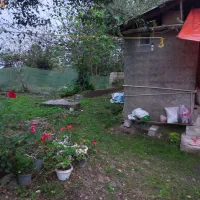 360متر-زمین-با-خانه-قدیمی