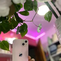 ایفون ۱۳ نرمالZAAصورتی 128