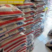 پخش خاک گربه|لوازم جانبی حیوانات|مشهد, گلبرگ|دیوار