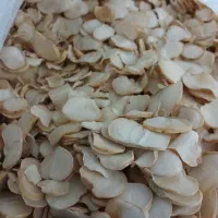 موسیر