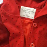 کاپشن،پالتو و بارانی سایز۴۰|لباس|صحنه, |دیوار