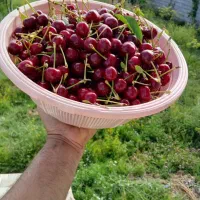 باغ ویلا ،سد امند|فروش خانه و ویلا|صوفیان, |دیوار