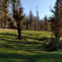 فروش زمین بالای کمربندی