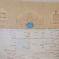 اخذ سند تک برگ