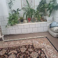 منزل فروشی