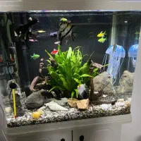 آکواریوم دلسا K500