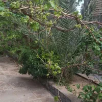 فروش ویلایی کلنگی