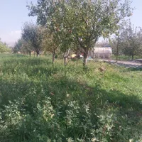 ویلا باغ در اربطان