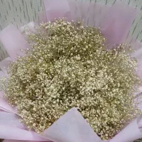 دسته گل ژیپسوفیلا زیبا قد ۱۵۰|گل و گیاه طبیعی|تهران, مشیریه|دیوار