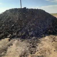 کودگاوی کهنه