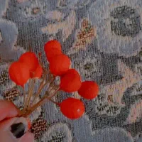 گل یلدایی شاخه ای ده تومن