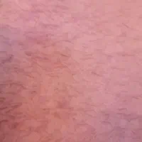 فرش فانتزی موهر دار رنگ بنفش یاسی