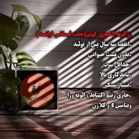 لوازم ارایشی لاکچری کوین|آرایشی، بهداشتی، درمانی|اصفهان, شاهزید|دیوار