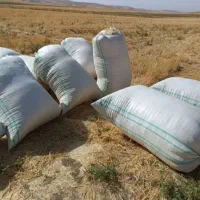 کفه گندم کاه گندم دار بار ضمانتی|لوازم جانبی حیوانات|تایباد, |دیوار