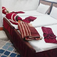 سفر به مشهد مقدس|تور و چارتر|بم, |دیوار