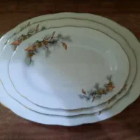 دیس چینی و کاسه چینی و میوه خوری