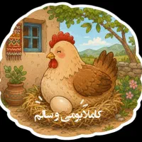 تخم مرغ بومی