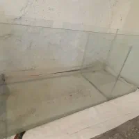 آکواریوم ماهی