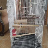 قفس پرنده بزرگ