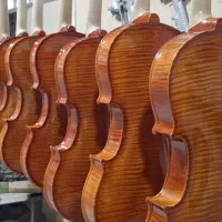 گیتار|گیتار، بیس، امپلیفایر|الوند, |دیوار